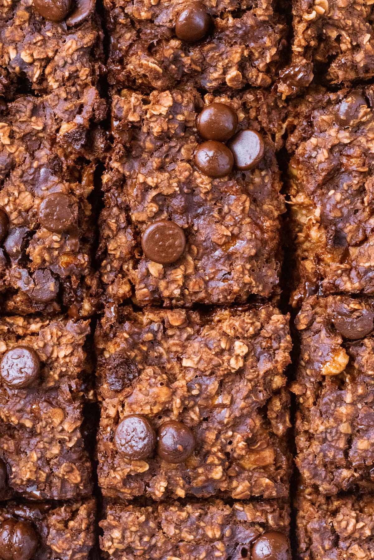 Squares of baked chocolate oats topped with chocolate chips.